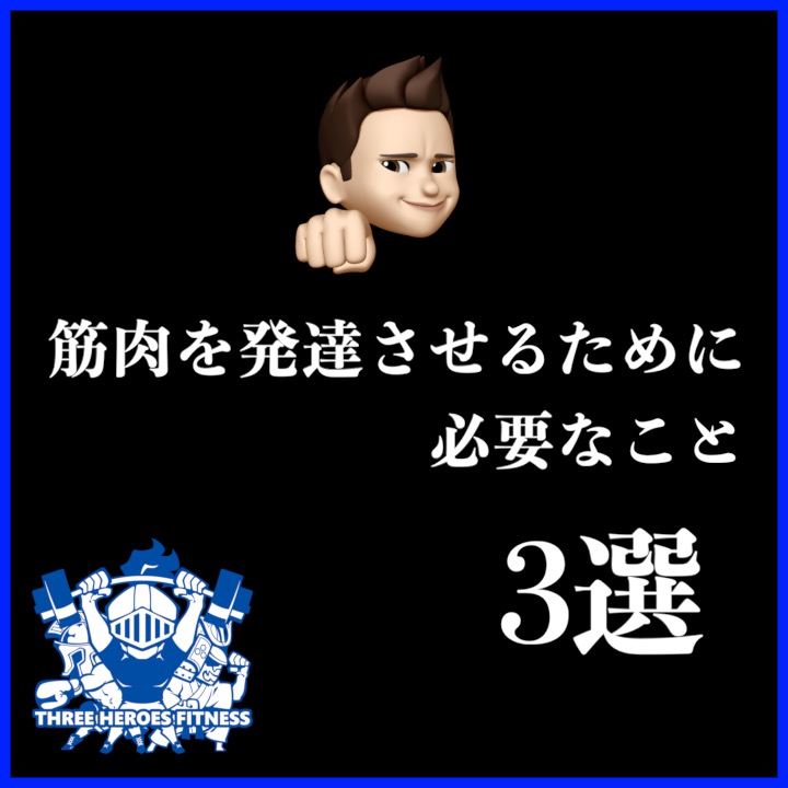 筋肉を発達させるために必要なこと3選 スリーヒーローズフィットネス